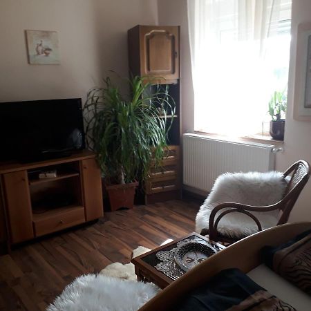Hotel City Camping& Apartman &Bungalow Győr Esterno foto