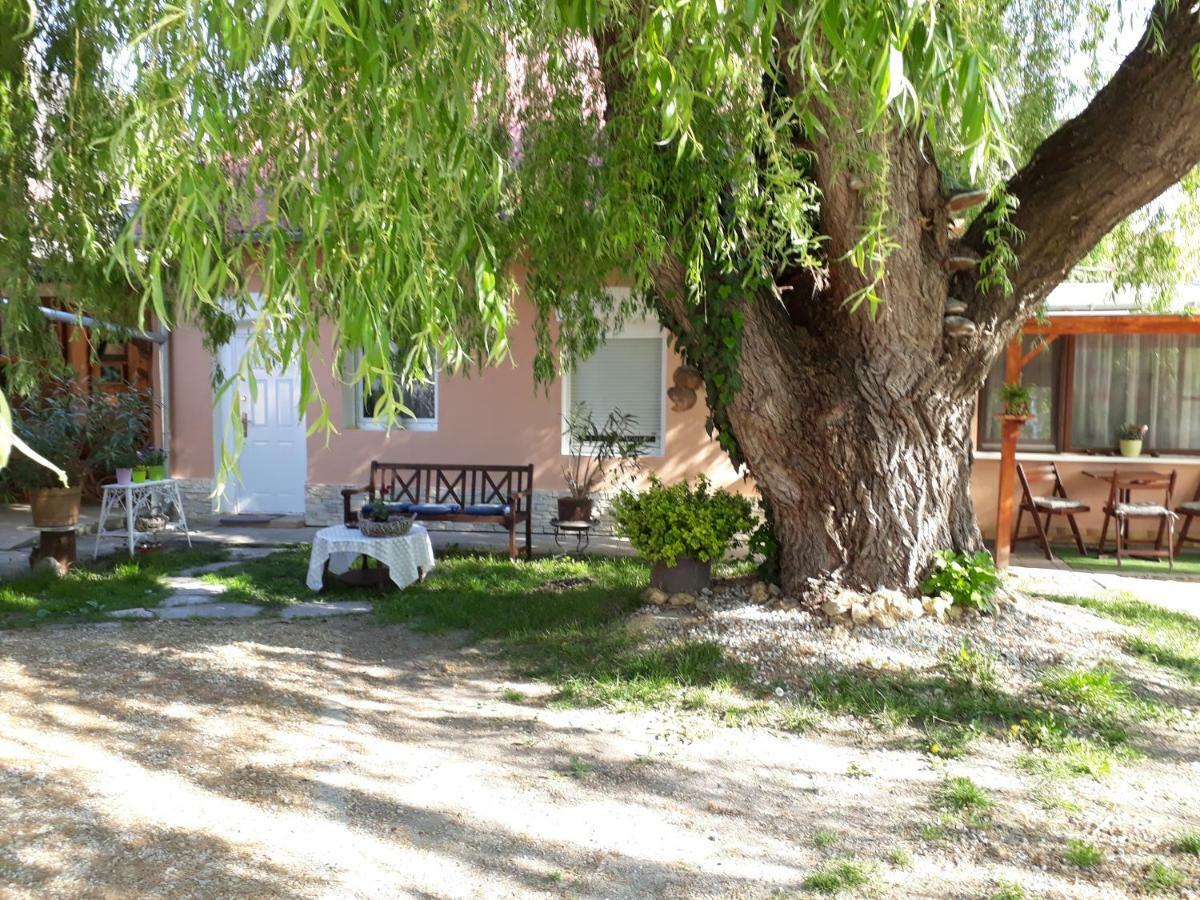 Hotel City Camping& Apartman &Bungalow Győr Esterno foto